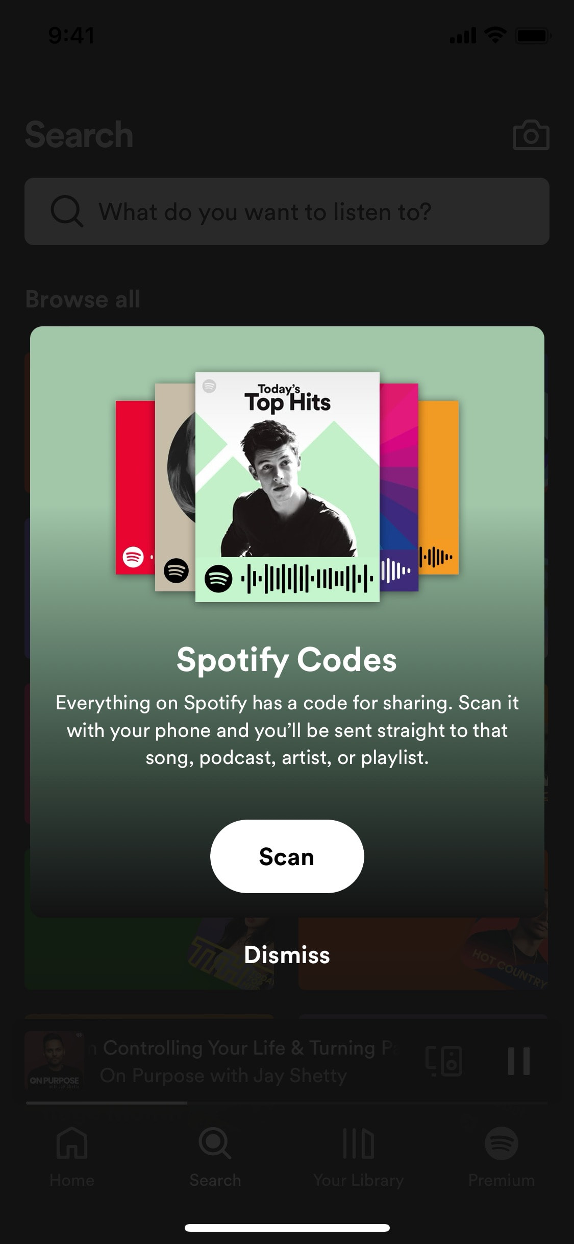 Spotify - Interface Details