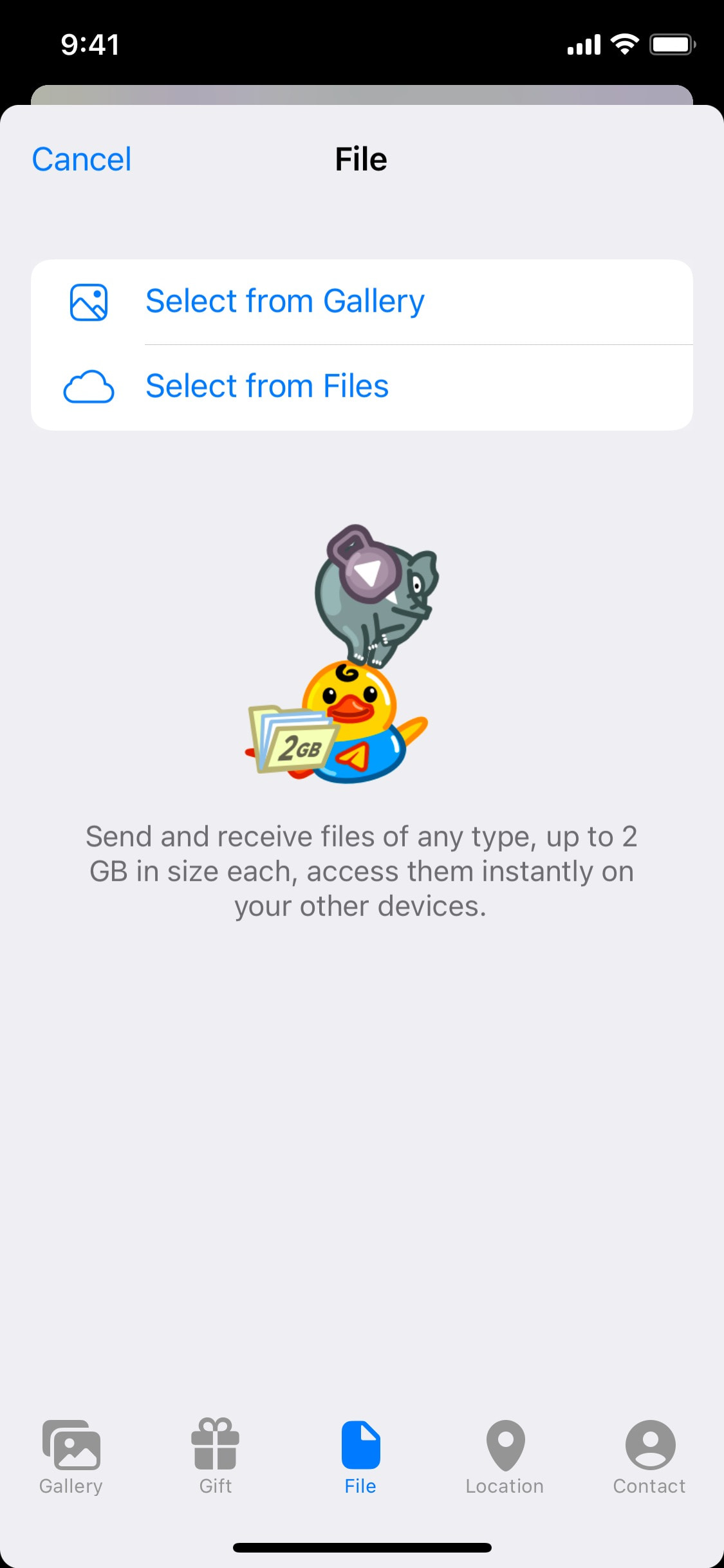 Telegram - Interface Details