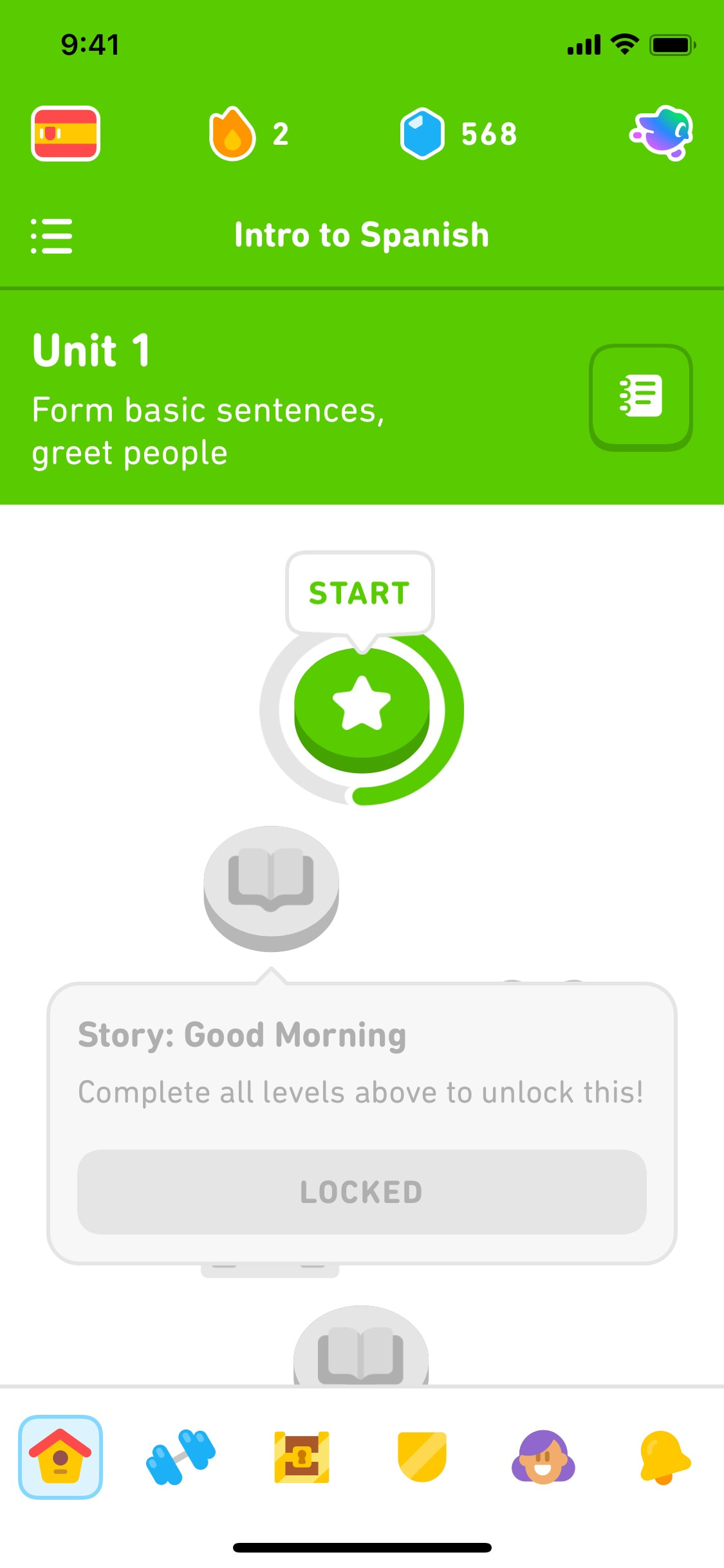 Duolingo - Interface Details