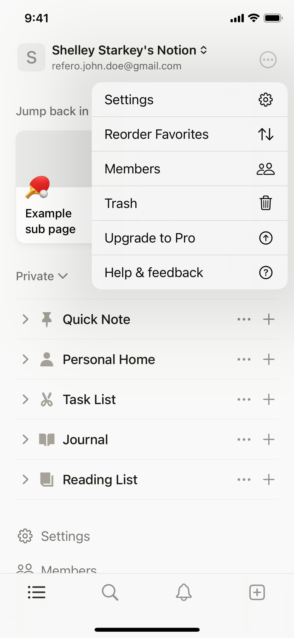 Notion - Interface Details