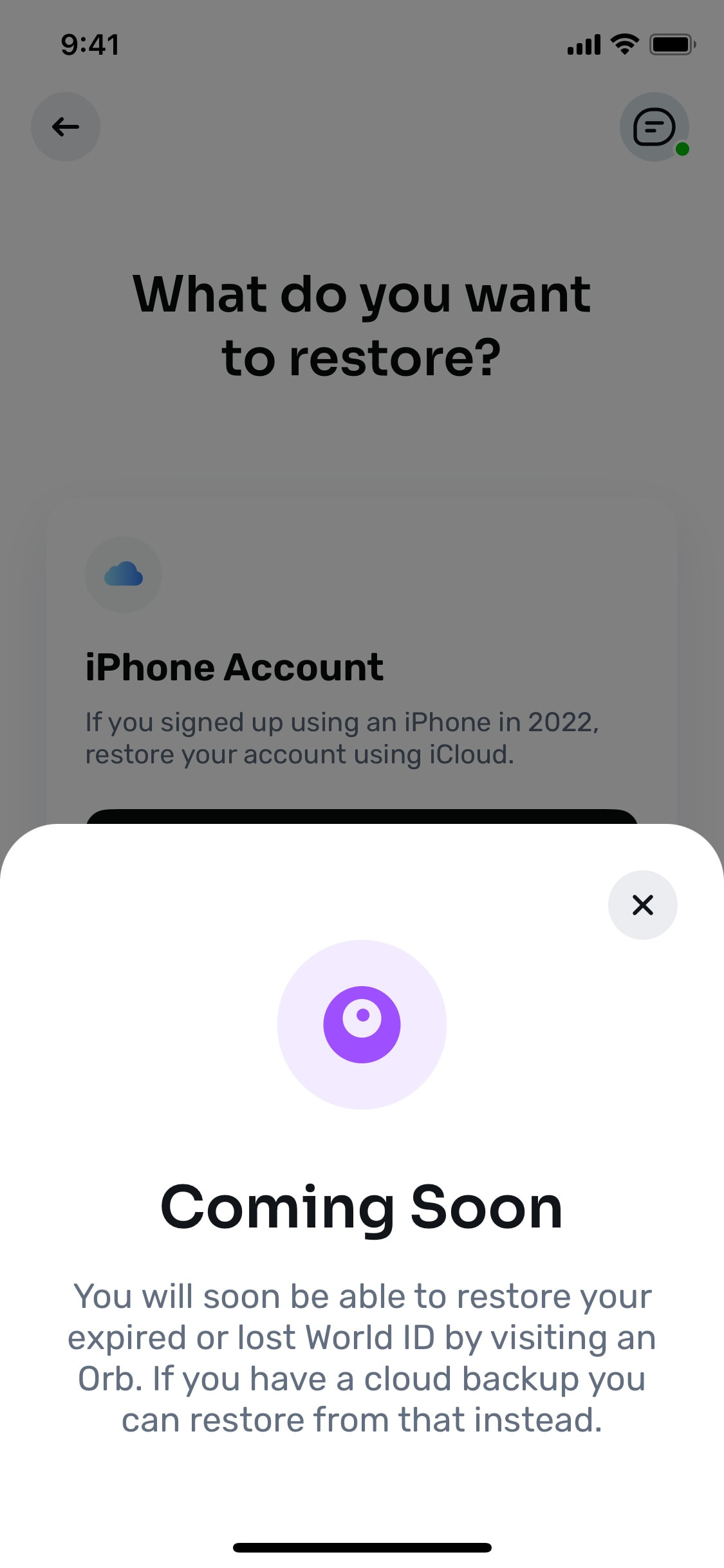 World App - Interface Details